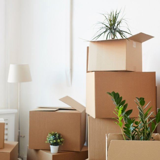 amity-accodomodation/dorm-stock-photo