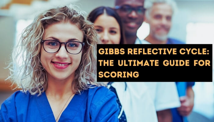 gibbs-reflective-cycle