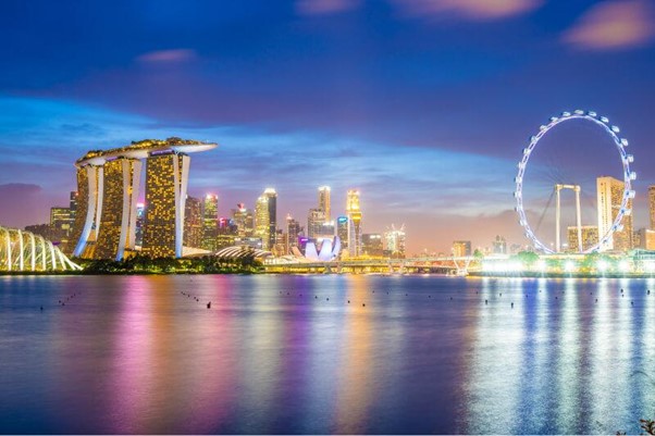 singapore incorporation